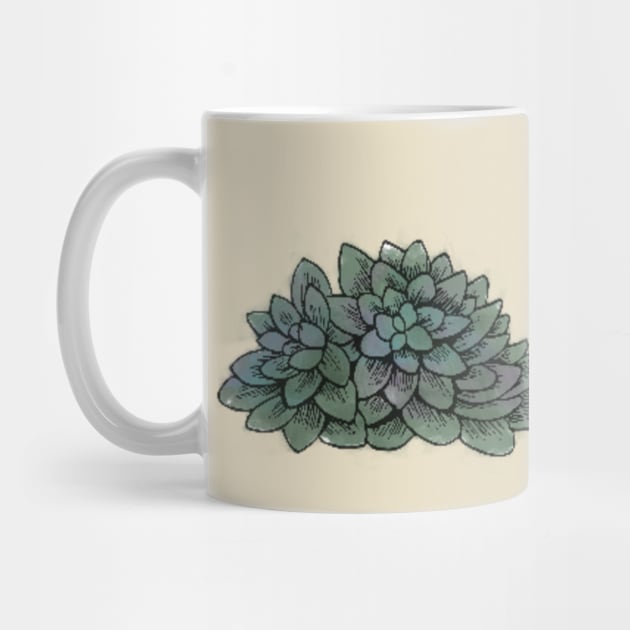 Succulents by ElizeValen